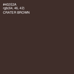 #402E2A - Crater Brown Color Image